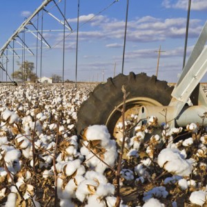 Georgia Agricultural Tax Exemption Expires Dec. 31 Photo for Georgia Agricultural Tax Exemption Expires Dec. 31