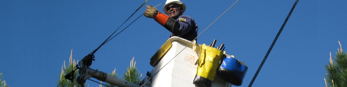<p>At Mitchell EMC We Are More Than Your Electric Company-</p><p>We Are Your Friends and Neighbors.</p>