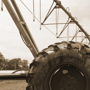 Photo for Farm Bill Update